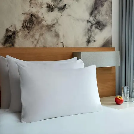 Nh Collection Otel Heidelberg